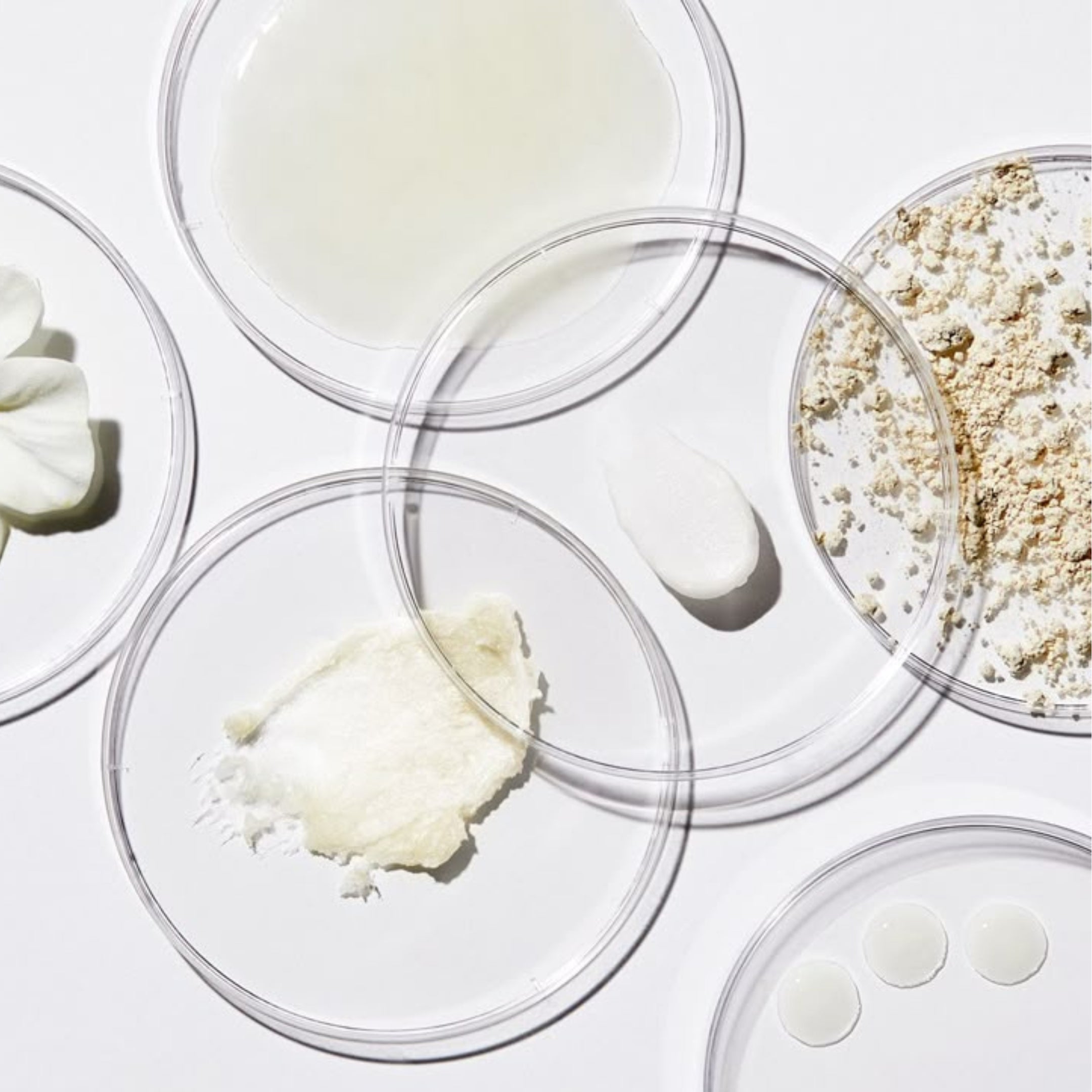 The Power of Collagen: Your Body’s Scaffolding