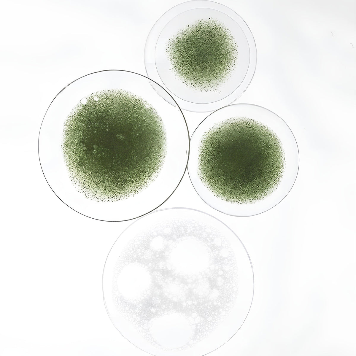 Why More Probiotics Aren’t Always Better